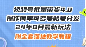 24年8月最新玩法视频号批量带货4.0，操作简单可多号账号分发，附全套落…-云资源库