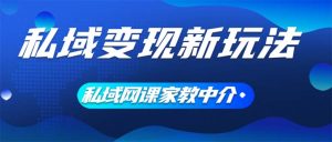 私域变现新玩法，网课家教中介，只做渠道和流量，让大学生给你打工、0…-云资源库