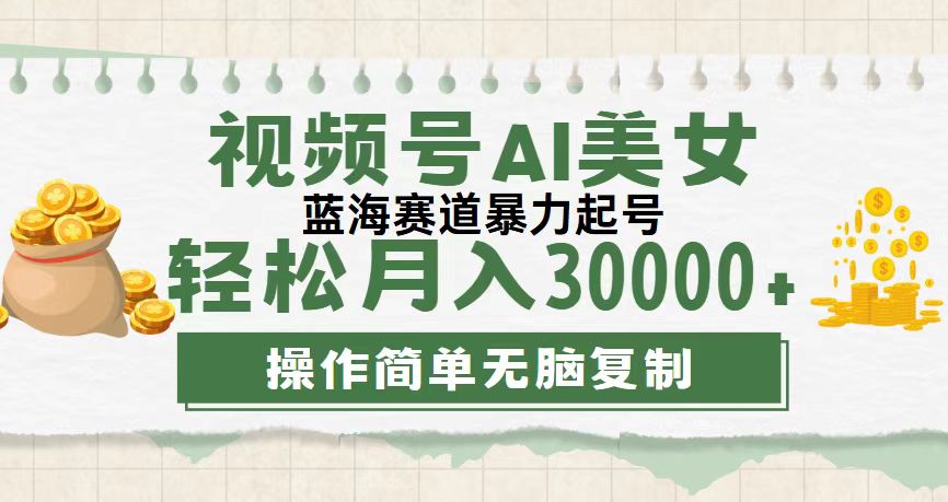 视频号AI美女跳舞，轻松月入30000+，蓝海赛道，流量池巨大，起号猛，无…-云资源库