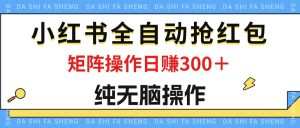 最新小红书全自动抢红包，单号一天50＋  矩阵操作日入300＋，纯无脑操作-云资源库