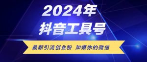 24年抖音最新工具号日引流300+创业粉，日入5000+-云资源库