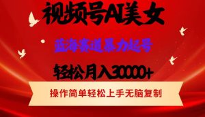 视频号AI美女跳舞，轻松月入30000+，蓝海赛道，流量池巨大，起号猛，当…-云资源库