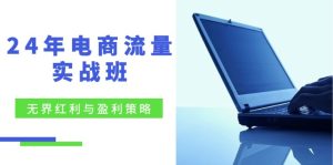 24年电商流量实战班：无界 红利与盈利策略，终极提升/关键词优化/精准…-云资源库