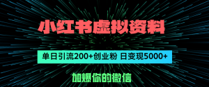 小红书虚拟资料日引流200+创业粉，单日变现5000+-云资源库