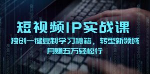 短视频 IP实战课，独创一键复制学习秘籍，转战新领域，月赚五万轻松行-云资源库