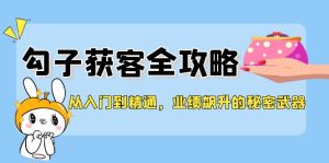 从入门到精通，勾子获客全攻略，业绩飙升的秘密武器-云资源库