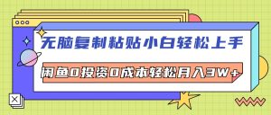 无脑复制粘贴，小白轻松上手，电商0投资0成本轻松月入3W+-云资源库