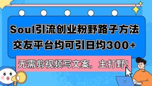 Soul引流创业粉野路子方法，交友平台均可引日均300+，无需剪视频写文案…-云资源库