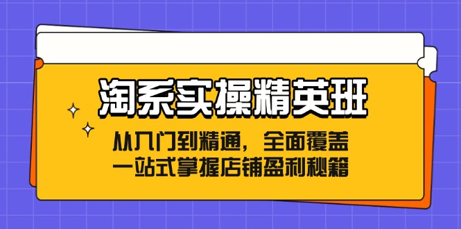 淘系实操精英班：从入门到精通，全面覆盖，一站式掌握店铺盈利秘籍-云资源库