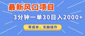 最新风口项目操作，3分钟一单30。日入2000左右，零成本，无脑操作。-云资源库