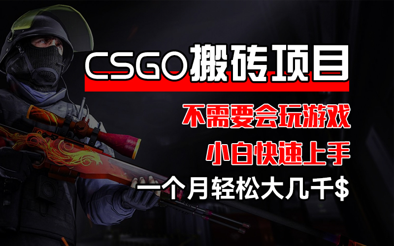 CSGO 装备搬砖项目，操作简单，不需要会玩游戏，小白也能快速上手，一…-云资源库