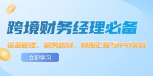 跨境 财务经理必备：资金管理、税务规划、财报汇报与IPO实战-云资源库