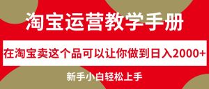 淘宝运营教学手册，在淘宝卖这个品可以让你做到日入2000+，新手小白轻…-云资源库