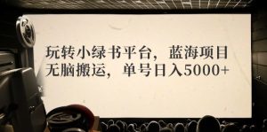 玩转小绿书平台，蓝海项目，无脑搬运，单号日入5000+-云资源库