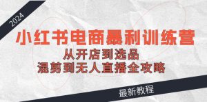 2024小红书电商暴利训练营：从开店到选品，混剪到无人直播全攻略-云资源库