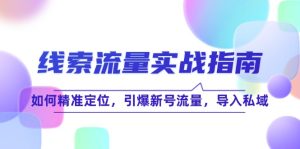 线 索 流 量-实战指南：如何精准定位，引爆新号流量，导入私域-云资源库