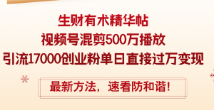 精华帖视频号混剪500万播放引流17000创业粉，单日直接过万变现，最新方…-云资源库