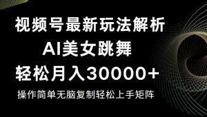 视频号最新暴利玩法揭秘，轻松月入30000+-云资源库