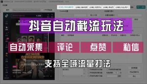 抖音自动截流玩法，利用一个软件自动采集、评论、点赞、私信，全域引流-云资源库