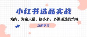 小红书选品实战：站内、淘宝天猫、拼多多，多渠道选品策略-云资源库