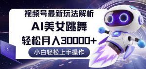 视频号最新暴利玩法解析，小白也能轻松月入30000+-云资源库