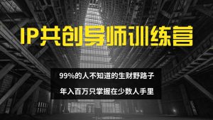 IP共创导师训练营 99%的人不知道的生财野路子 只掌握在少数人手里-云资源库