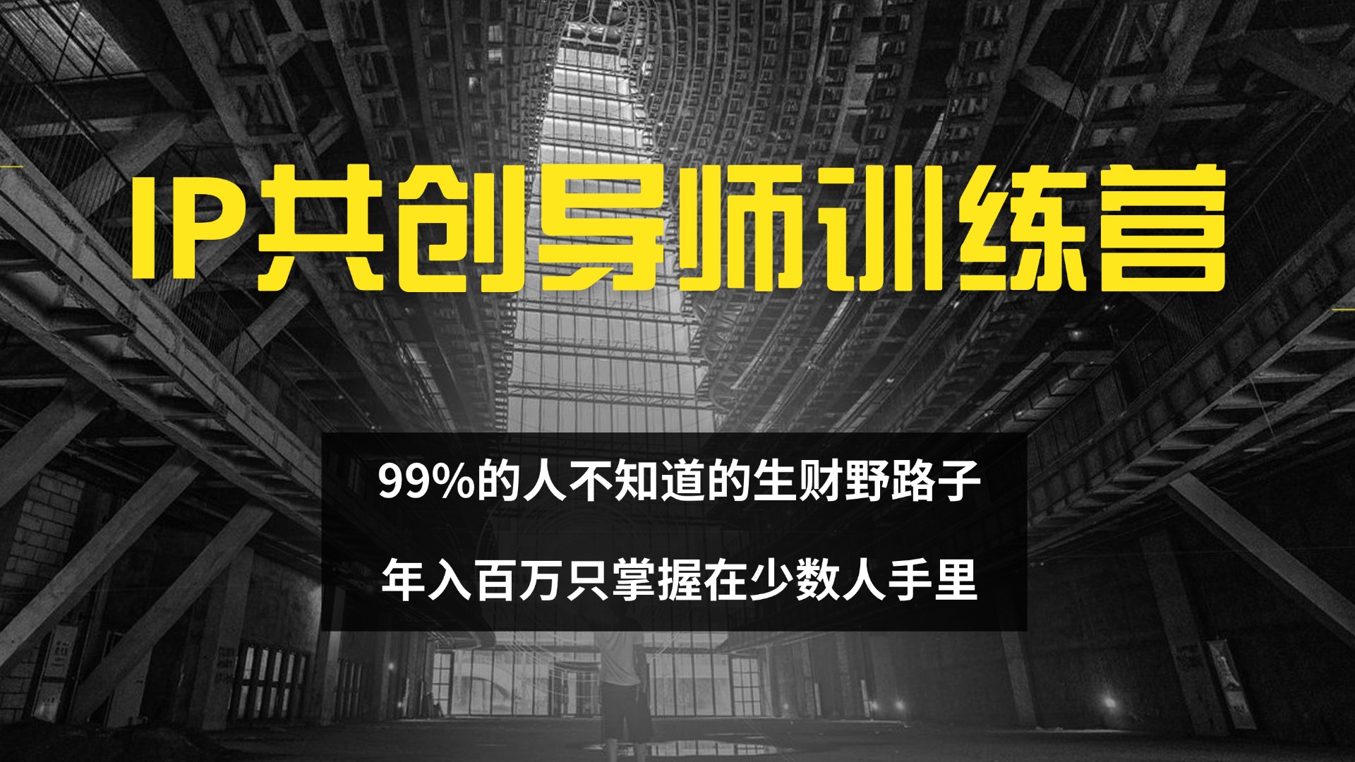 IP共创导师训练营 99%的人不知道的生财野路子 只掌握在少数人手里-云资源库