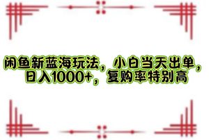 闲鱼新蓝海玩法，小白当天出单，日入1000+，复购率特别高-云资源库