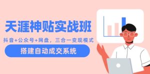 天涯神贴实战班：抖音+公众号+网盘，三合一变现模式，搭建自动成交系统-云资源库