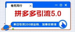 拼多多引流付费创业粉，单日引流200+，日入4000+-云资源库