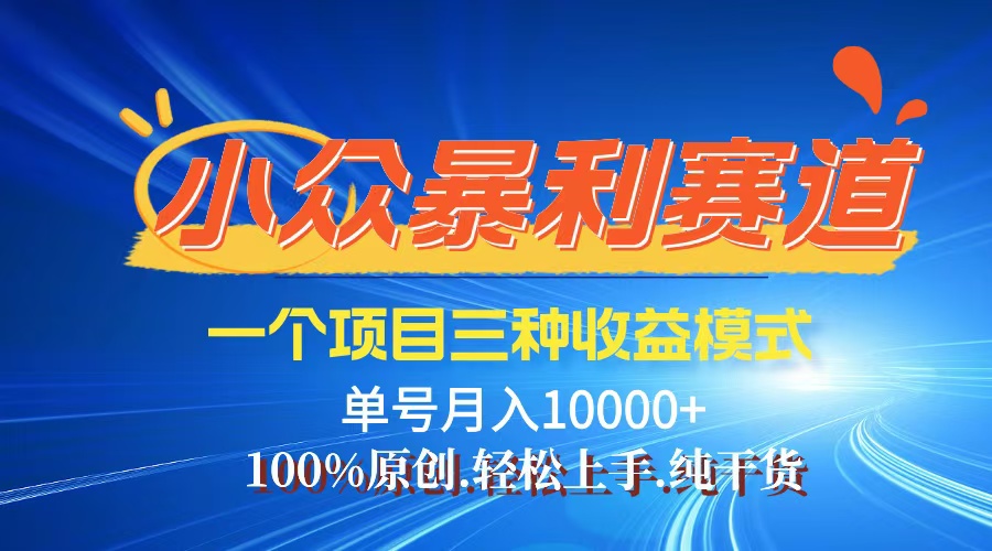 【老人言】-视频号爆火赛道，三种变现方式，0粉新号调调爆款-云资源库