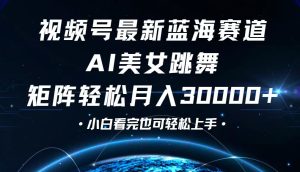 视频号最新蓝海赛道，小白也能轻松月入30000+-云资源库