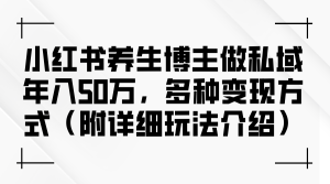 小红书养生博主做私域年入50万，多种变现方式（附详细玩法介绍）-云资源库