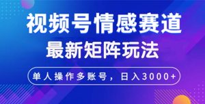 视频号创作者分成情感赛道最新矩阵玩法日入3000+-云资源库