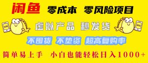 闲鱼 零成本 零风险项目 虚拟产品秒发货 不囤货 不垫资 超高复购率  简…-云资源库