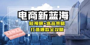 商家必看电商新蓝海：短视频+选品策略，打造爆款全攻略，月入10w+-云资源库