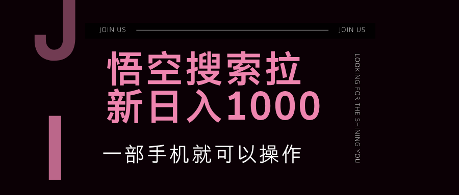 悟空搜索类拉新 蓝海项目 一部手机就可以操作 教程非常详细-云资源库