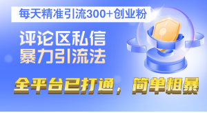 评论区私信暴力引流法，每天精准引流300+创业粉，全平台已打通，简单粗暴-云资源库