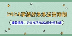 2024掌握拼多多运营精髓：爆款流程、定价技巧与SKU设计实战课-云资源库