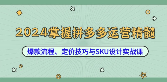 2024掌握拼多多运营精髓：爆款流程、定价技巧与SKU设计实战课-云资源库