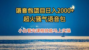 语音包项目 日入2000+ 超火骚气语音包小白看完课程就能马上实操-云资源库