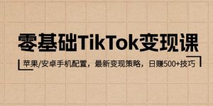 零基础TikTok变现课：苹果/安卓手机配置，最新变现策略，日赚500+技巧-云资源库