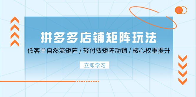 拼多多店铺矩阵玩法：低客单自然流矩阵 / 轻付费矩阵 动销 / 核心权重提升-云资源库