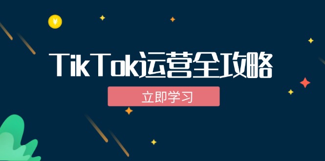 TikTok实战运营全攻略：从下载软件到变现，抖音海外版实操教程-云资源库