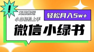 微信小绿书项目，一部手机，每天操作十分钟，，日入1000+-云资源库