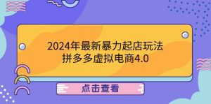 2024年最新暴力起店玩法，拼多多虚拟电商4.0，24小时实现成交，单人可以..-云资源库