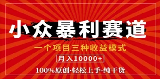 视频号最新爆火赛道，三种可收益模式，0粉新号条条原创条条热门 日入1000+-云资源库