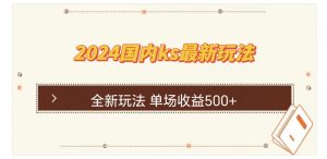 国内ks最新玩法 单场收益500+-云资源库