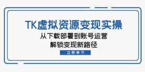 TK虚拟资源变现实操：从下载部署到账号运营，解锁变现新路径-云资源库