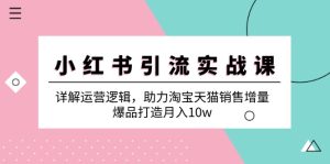 小红书引流实战课：详解运营逻辑，助力淘宝天猫销售增量，爆品打造月入10w-云资源库